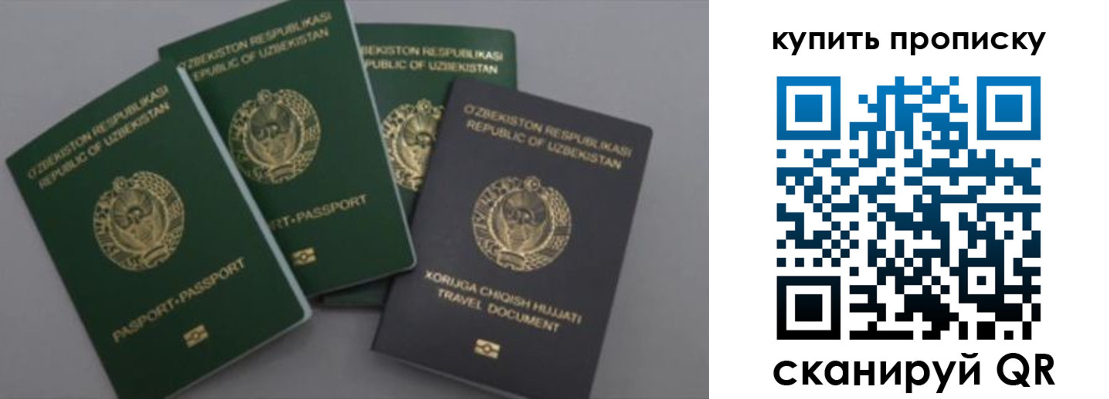 миграционный учет в Северной Осетии